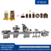 Fully automatic capsule pill filling production line